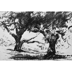 Stefan POPESCU(1872-1948) - Margine de padure